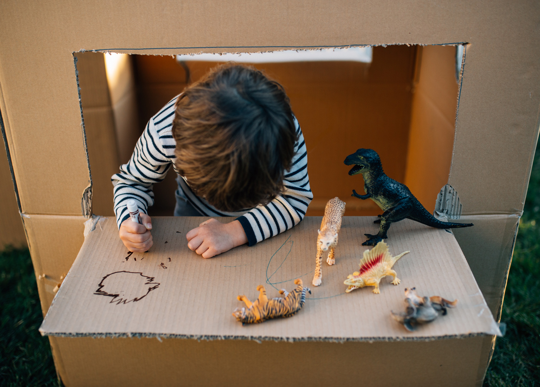 A child plays with dinosaurs on the window ledge of his cardboard box fort.