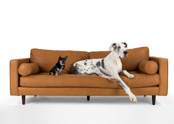 Leather Couch Pet Friendly, Pet Safe Leather Sofa